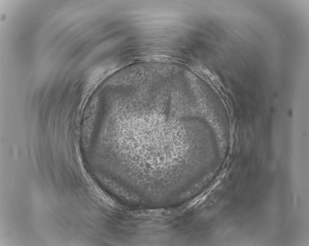 X0000088890049200706291450