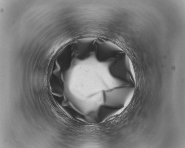 X0000088890050200706291450