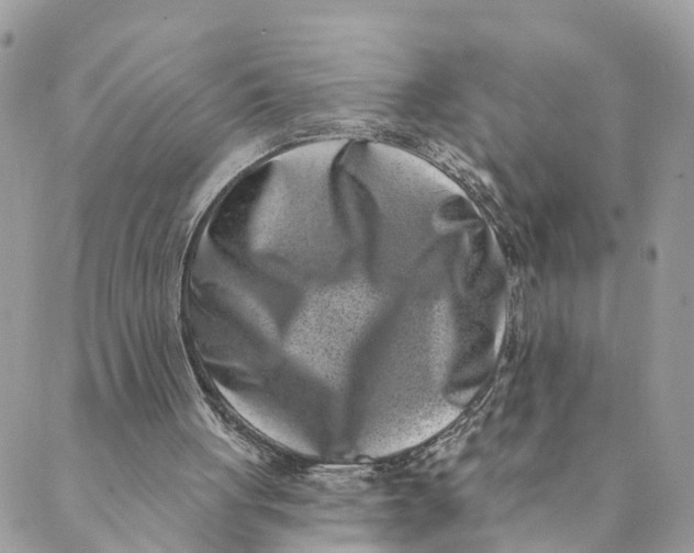 X0000088890051200706291450