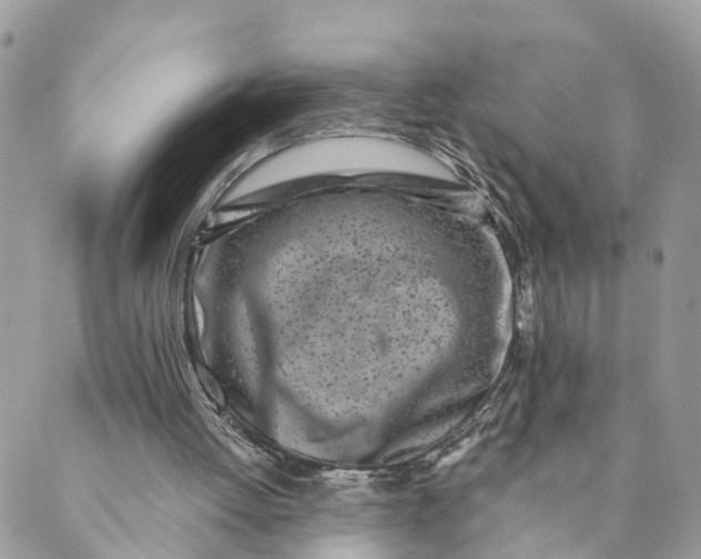 X0000088890052200706291450