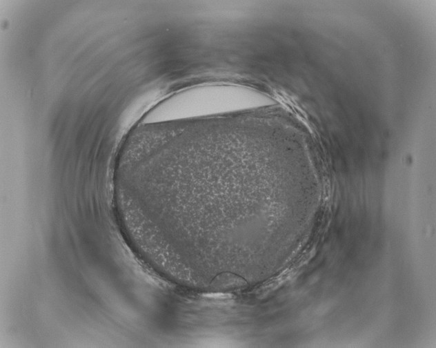 X0000088890053200706291450