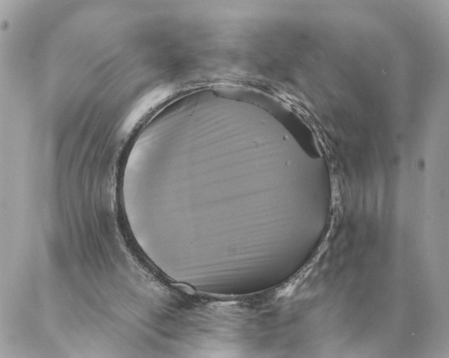 X0000088890054200706291450