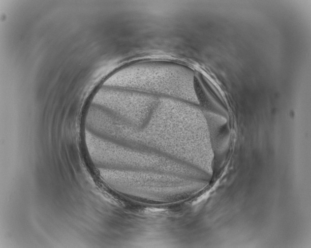 X0000088890055200706291450