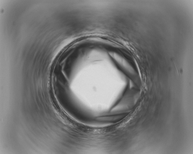 X0000088890056200706291450