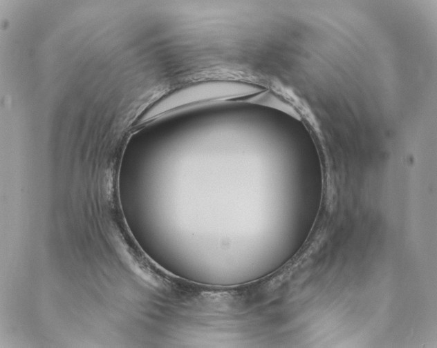 X0000088890057200706291450