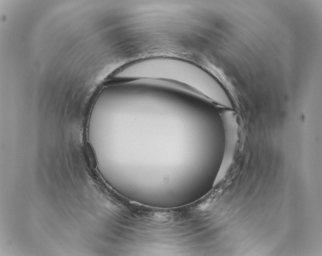 X0000088890060200706291450