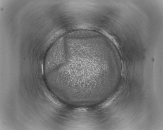 X0000088890061200706291450