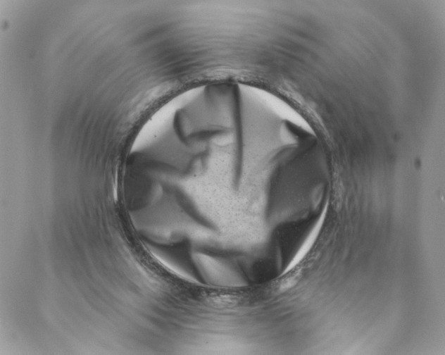 X0000088890062200706291450