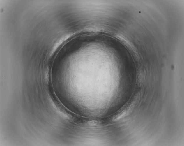 X0000088890064200706291450