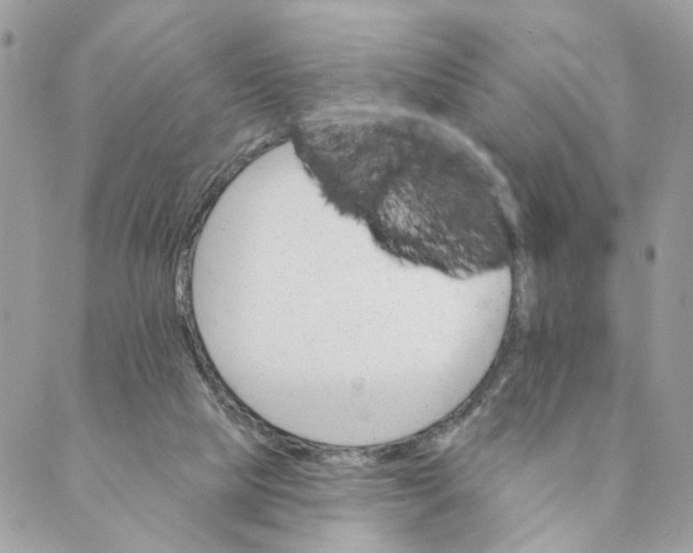 X0000088890065200706291450