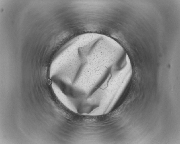 X0000088890066200706291450