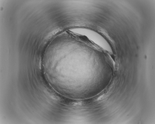 X0000088890068200706291450