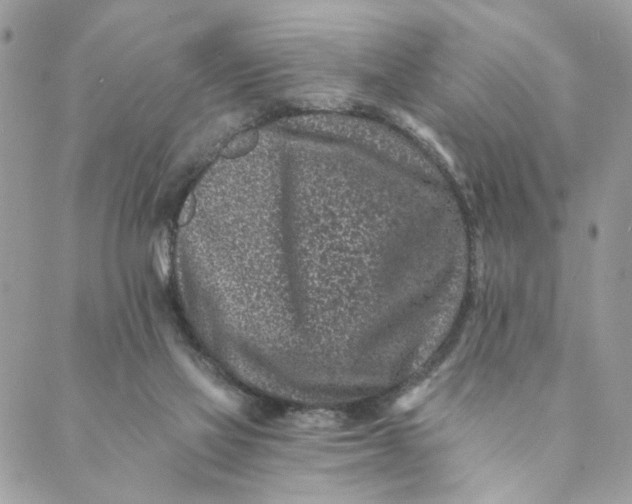 X0000088890069200706291450