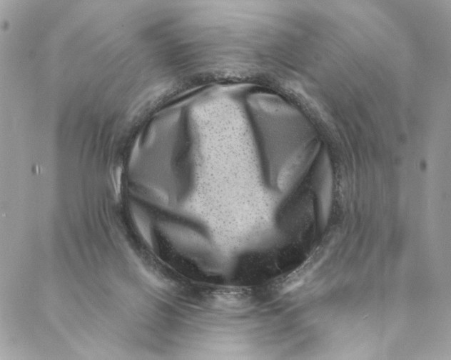 X0000088890070200706291450
