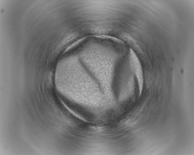 X0000088890071200706291450