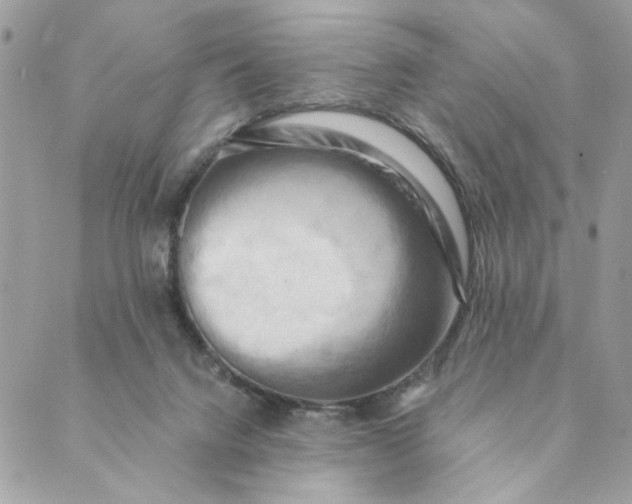 X0000088890072200706291450