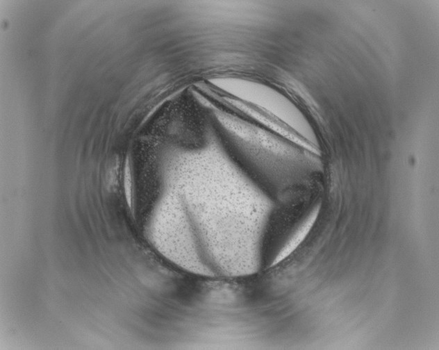 X0000088890073200706291450