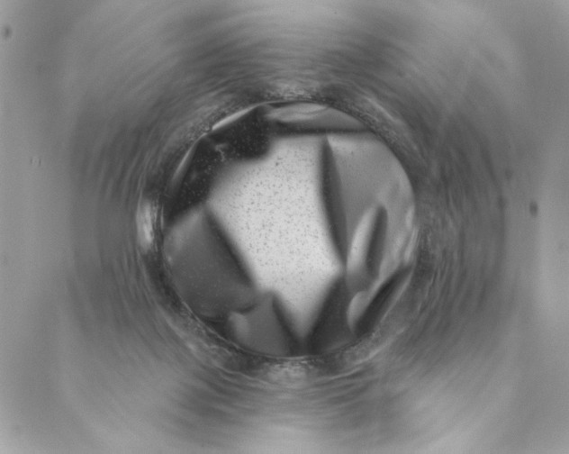 X0000088890075200706291450