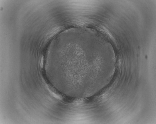 X0000088890076200706291450