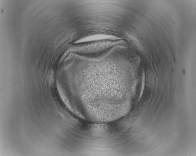 X0000088890077200706291450