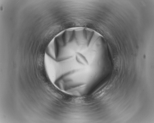 X0000088890078200706291450