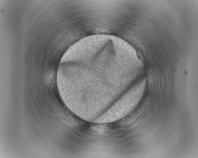 X0000088890079200706291450