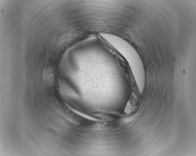 X0000088890080200706291450