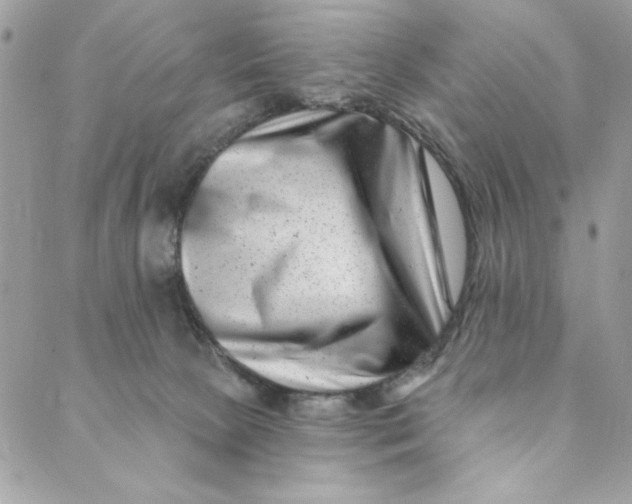 X0000088890081200706291450