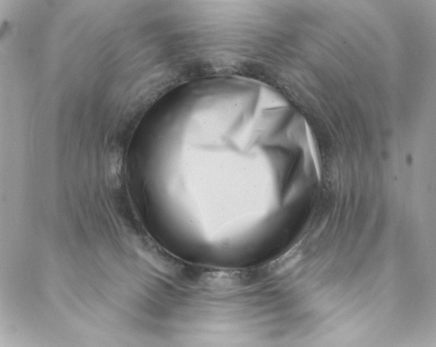 X0000088890082200706291450