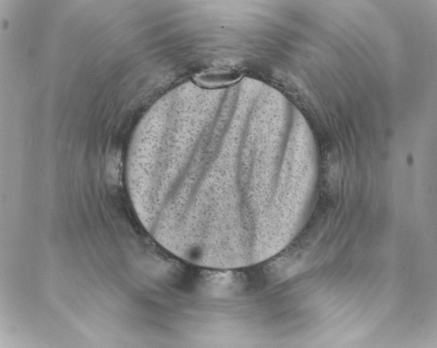 X0000088890083200706291450