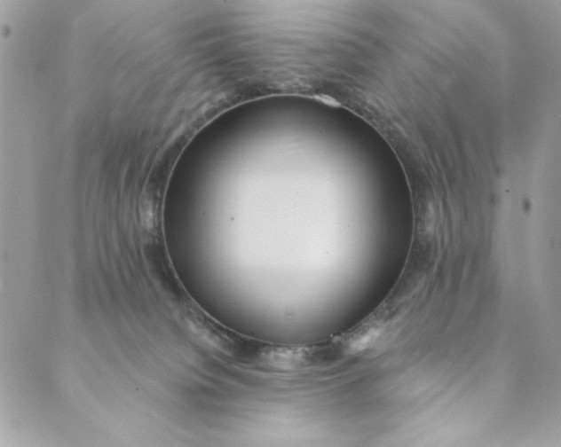 X0000088890084200706291450