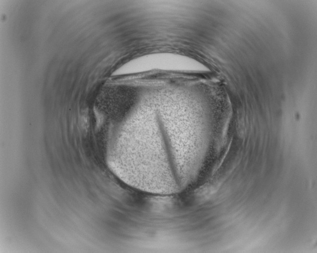 X0000088890085200706291450