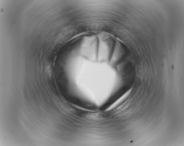 X0000088890086200706291450