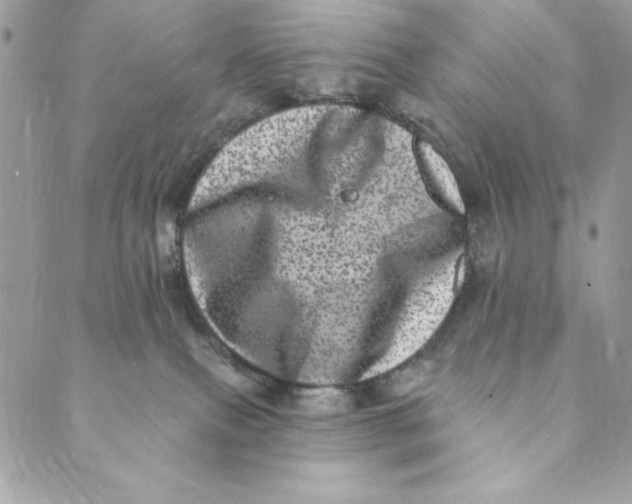 X0000088890087200706291450