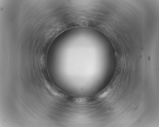 X0000088890088200706291450