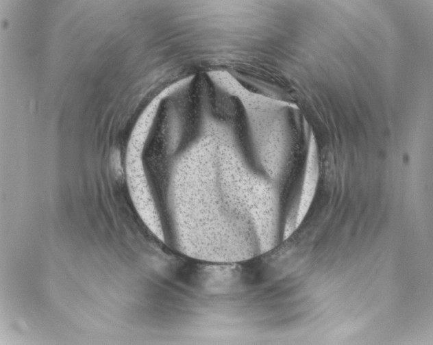 X0000088890089200706291450