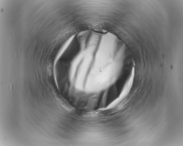 X0000088890090200706291450