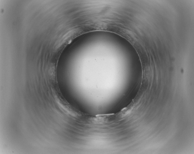 X0000088890092200706291450