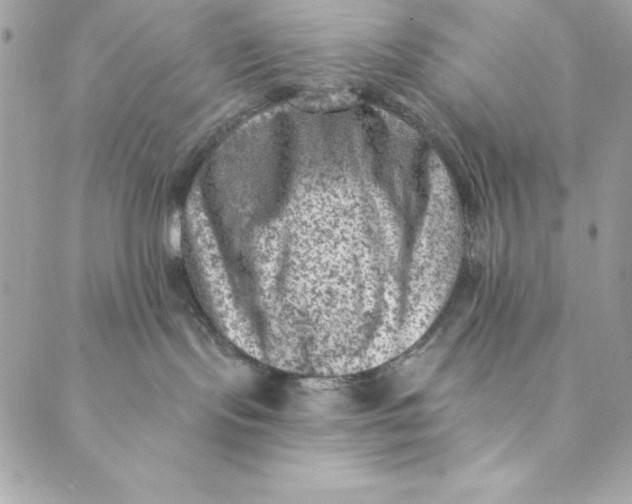 X0000088890095200706291450