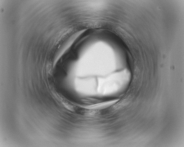 X0000088890096200706291450