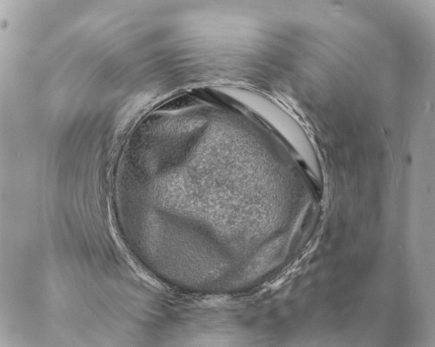 X0000088890097200706291450