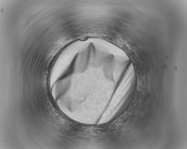 X0000088890098200706291450