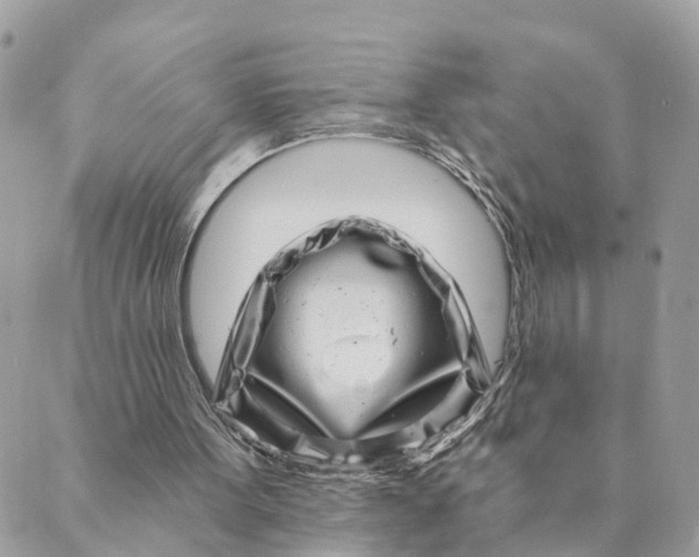 X0000088890099200706291450