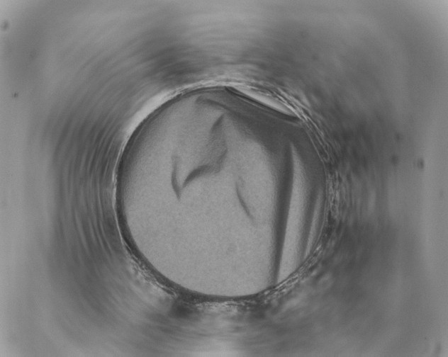 X0000088890100200706291450