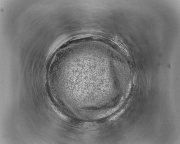 X0000088890101200706291450