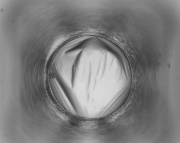 X0000088890102200706291450