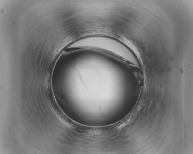 X0000088890105200706291449