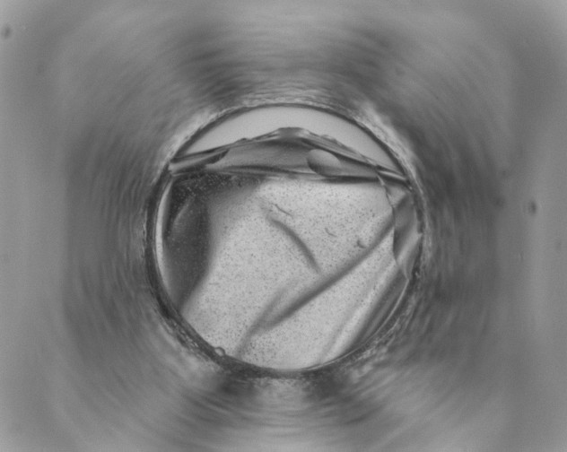 X0000088890107200706291449