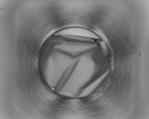 X0000088890108200706291449