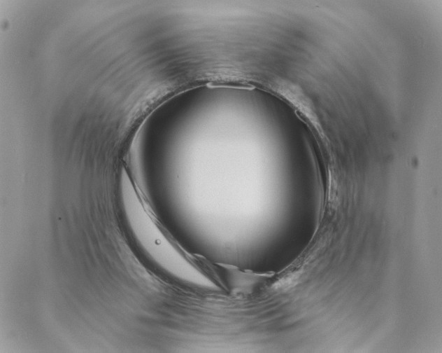 X0000088890109200706291449